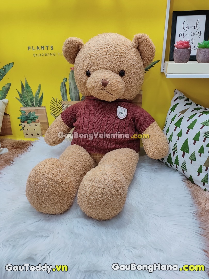 Gấu bông teddy hồng 1M dễ thương làm quà tặng 83 142 sinh nhật bạn gái  người yêu bạn bè  gấu bông cực rẻ  MixASale